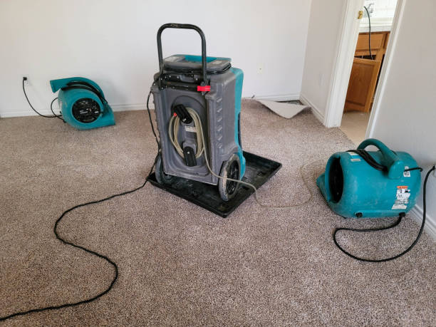 Best Local water damage restoration  in Toquerville, UT