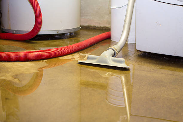 Best 24-hour water damage restoration  in Toquerville, UT