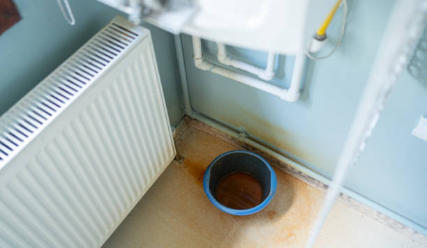 Best Ceiling water damage repair  in Toquerville, UT