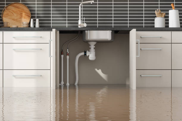 Best Sewage cleanup and water damage restoration  in Toquerville, UT