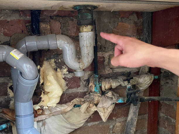 Best Sewage cleanup and water damage restoration  in Toquerville, UT