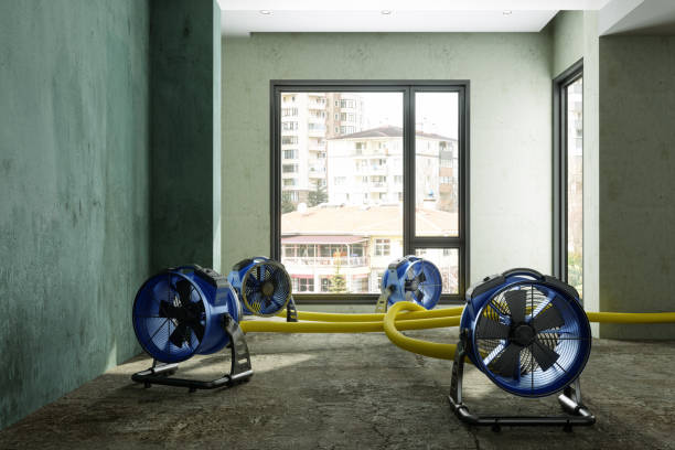Best Mold removal after water damage  in Toquerville, UT